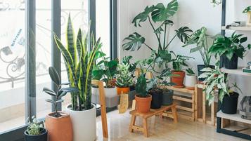 Strategies for improving indoor air quality