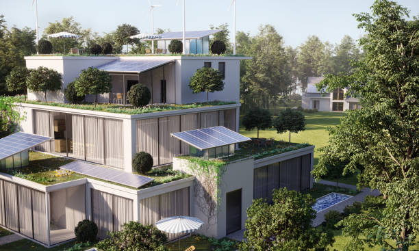 Eco Building with Green Roof